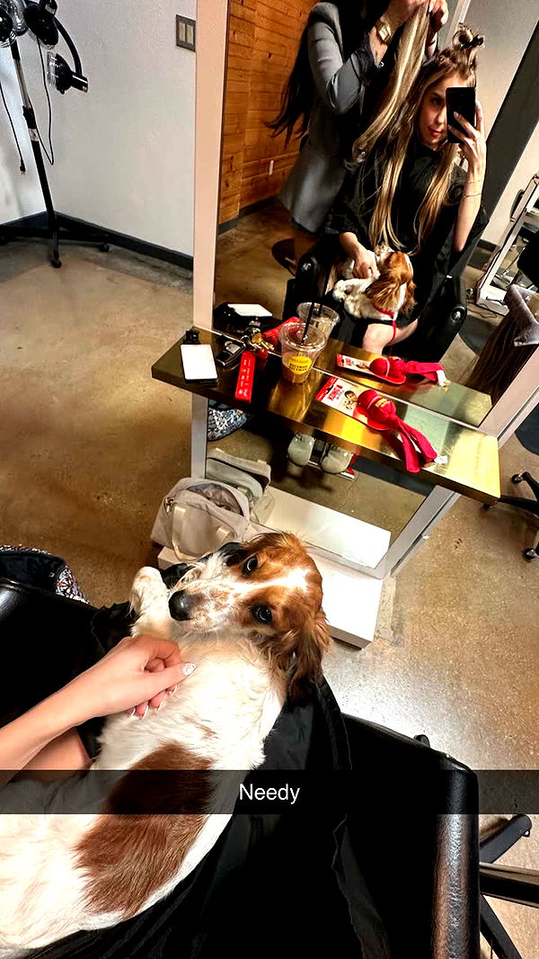 laurenj.fit image ~ Altpins