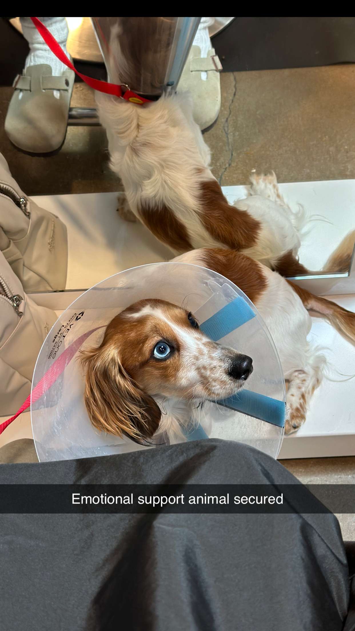 laurenj.fit snapchat image archive image