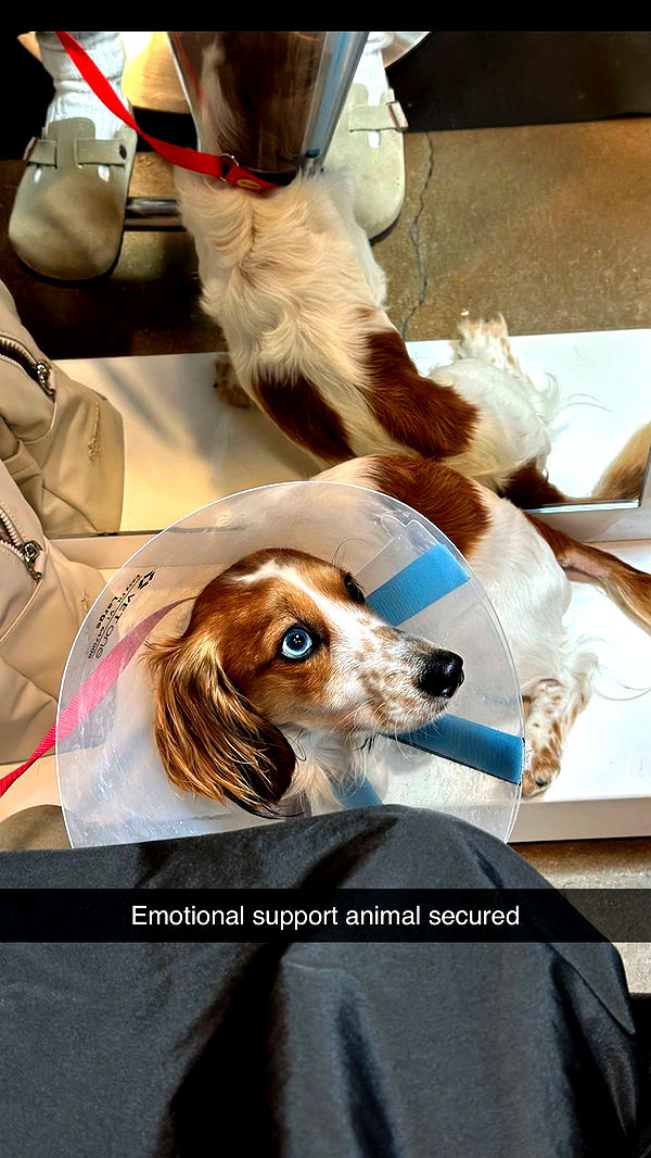 laurenj.fit image ~ Altpins