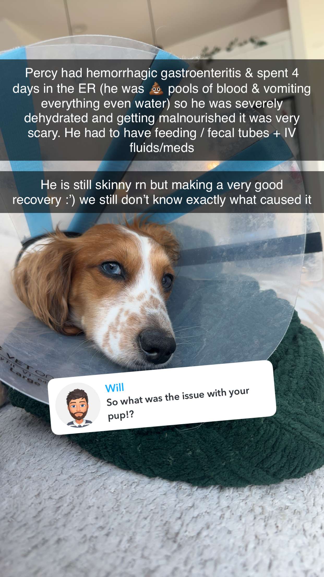 laurenj.fit snapchat image archive image