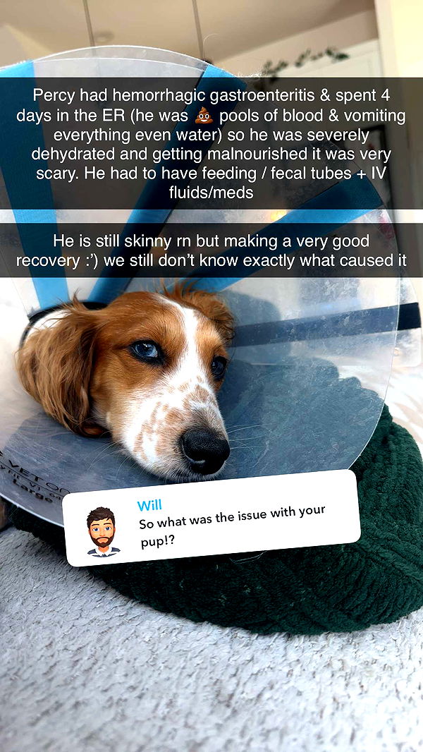 laurenj.fit image ~ Altpins