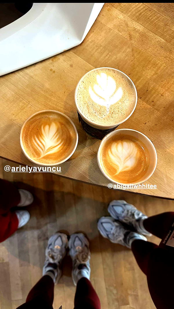 laurenj.fit image ~ Altpins