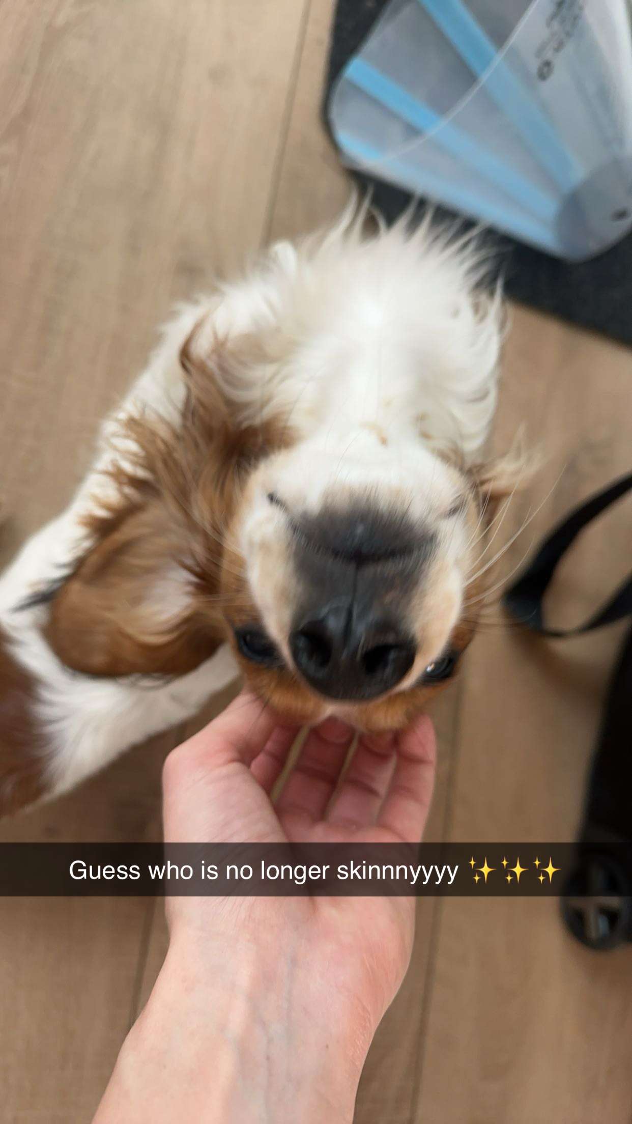 laurenj.fit snapchat image archive image