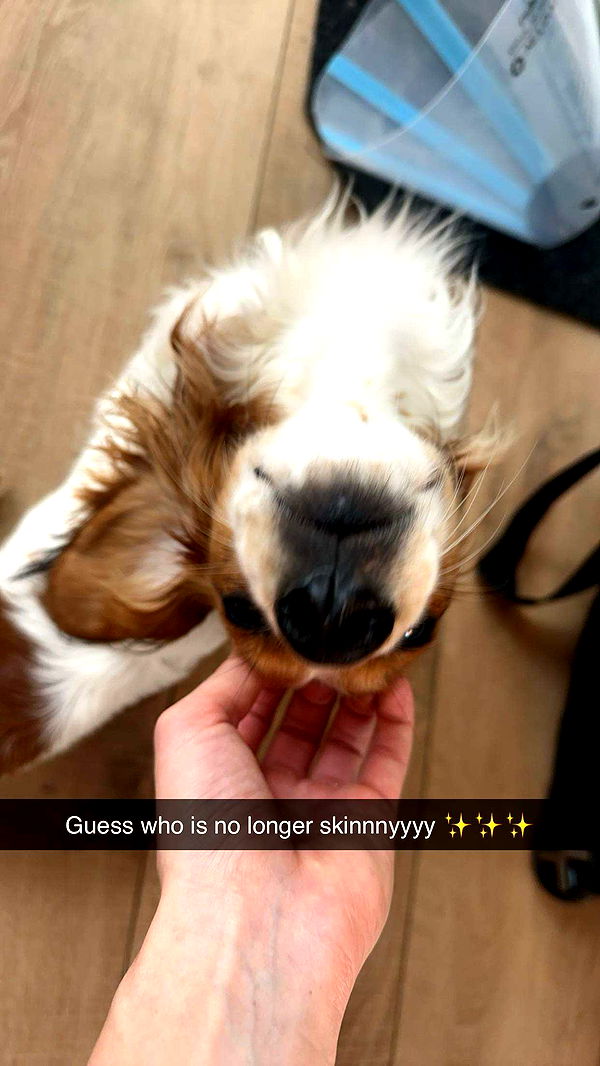 laurenj.fit image ~ Altpins