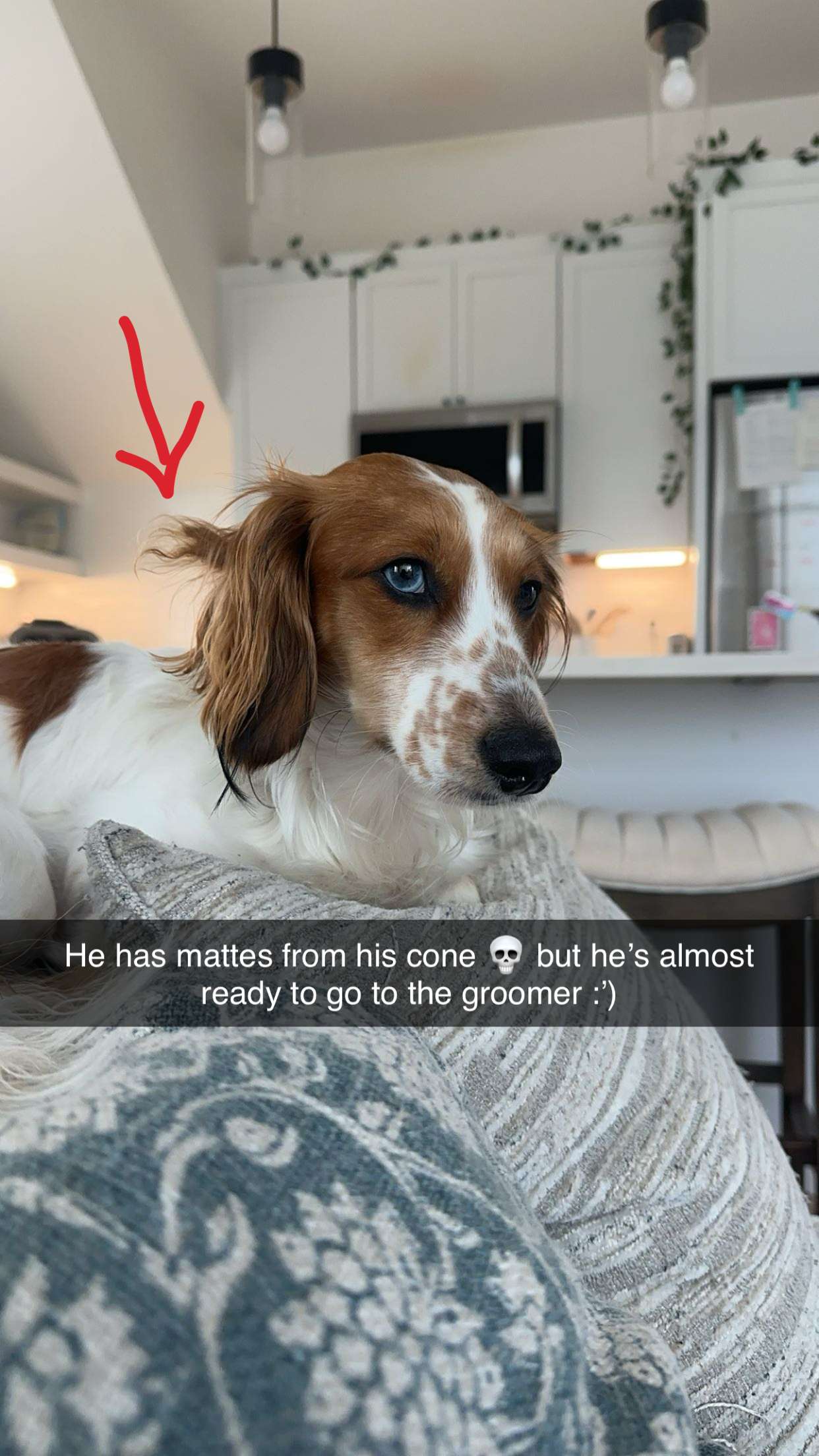 laurenj.fit snapchat image archive image