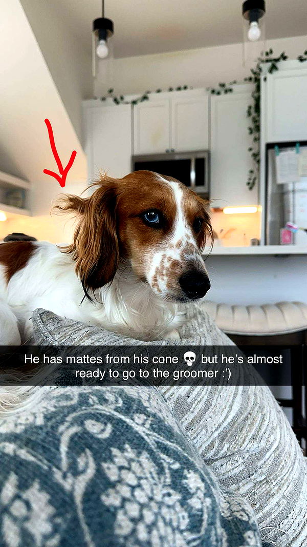 laurenj.fit image ~ Altpins