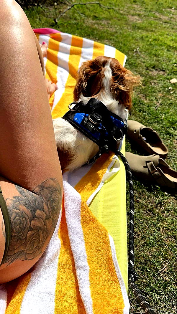 laurenj.fit image ~ Altpins