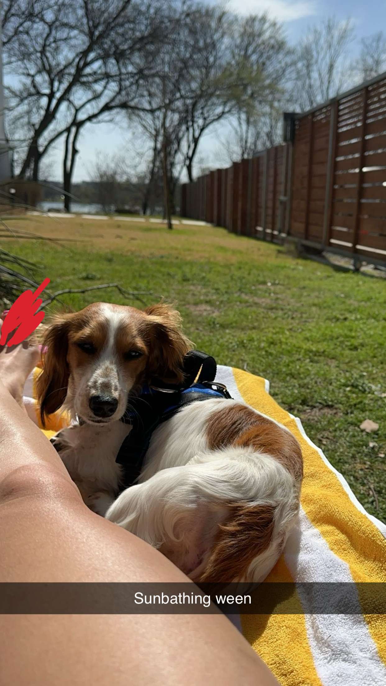 laurenj.fit snapchat image archive image