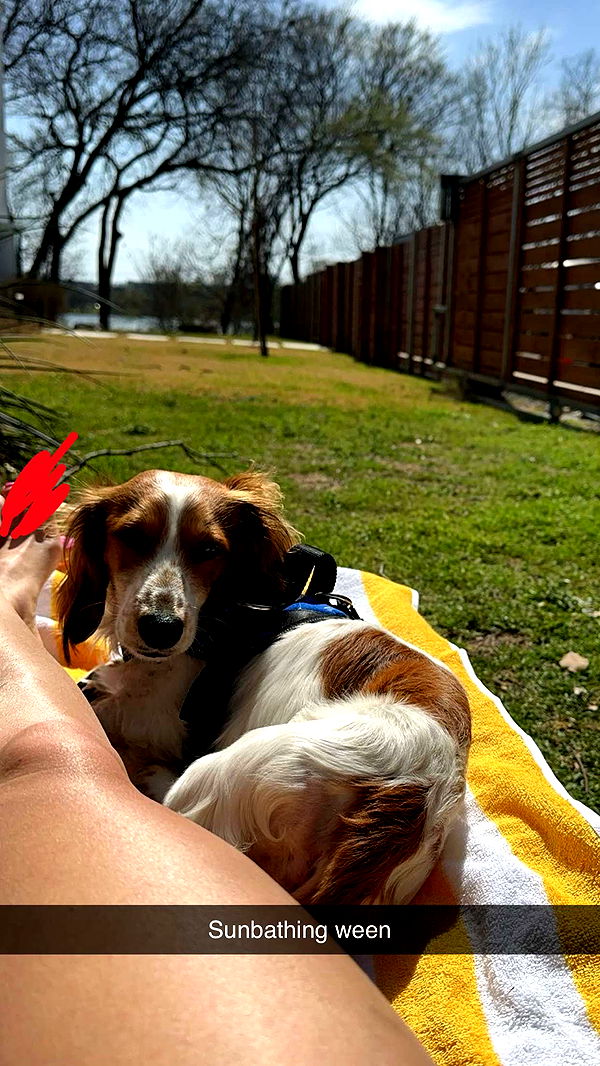 laurenj.fit image ~ Altpins