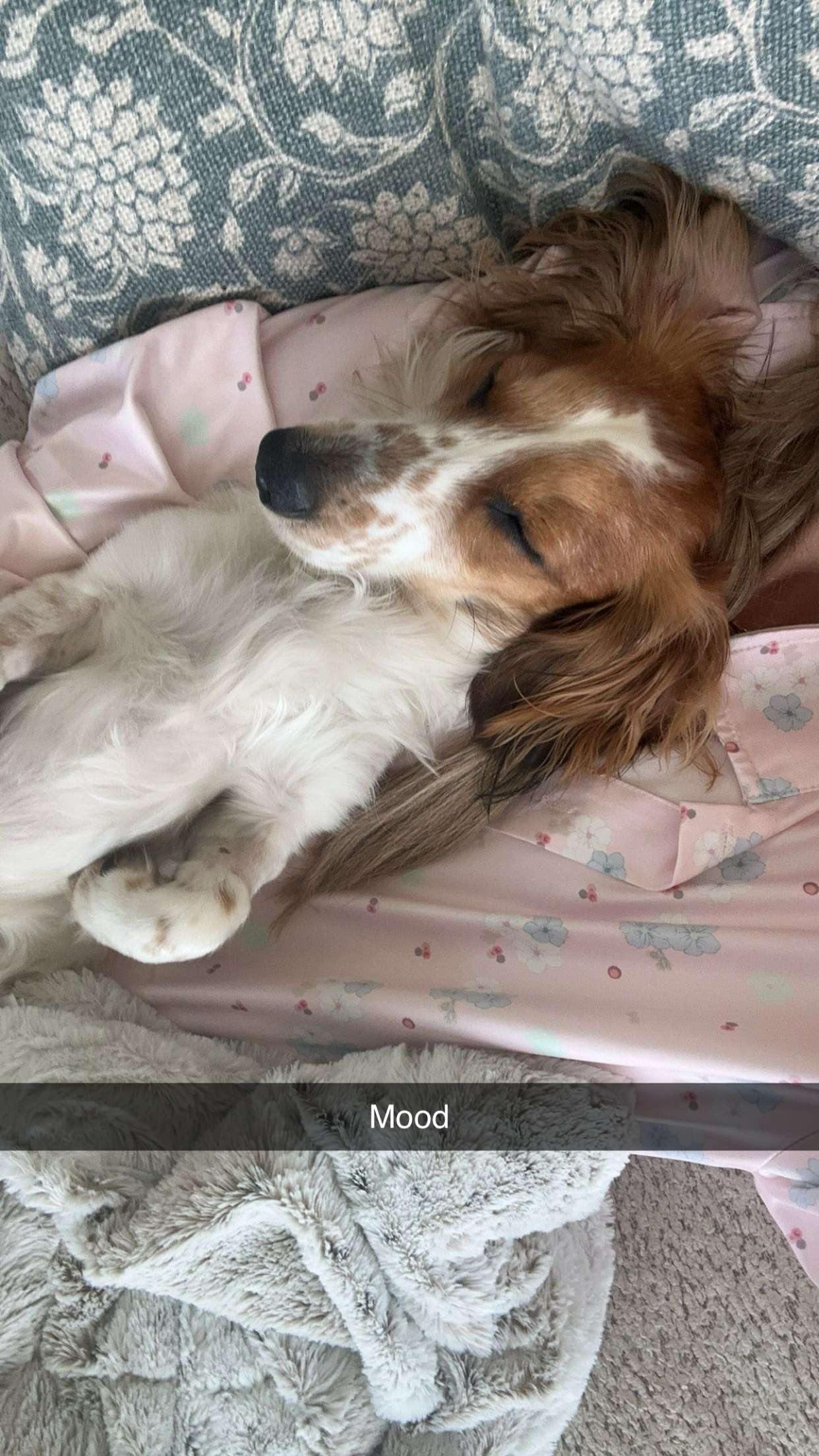 laurenj.fit snapchat image archive image