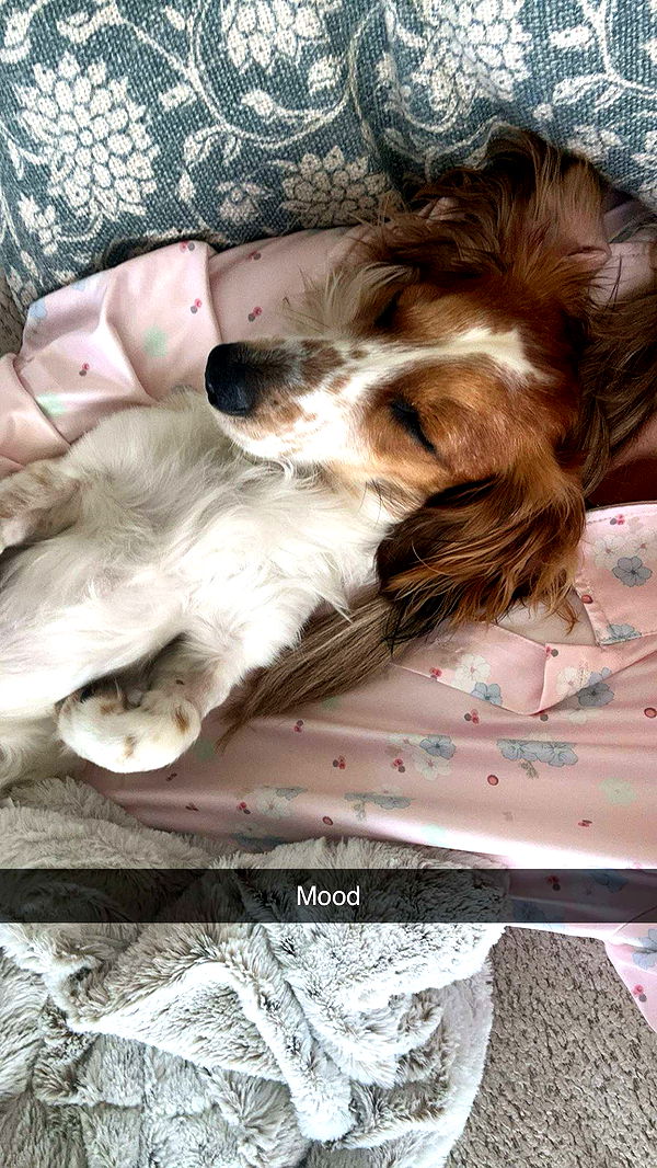 laurenj.fit image ~ Altpins