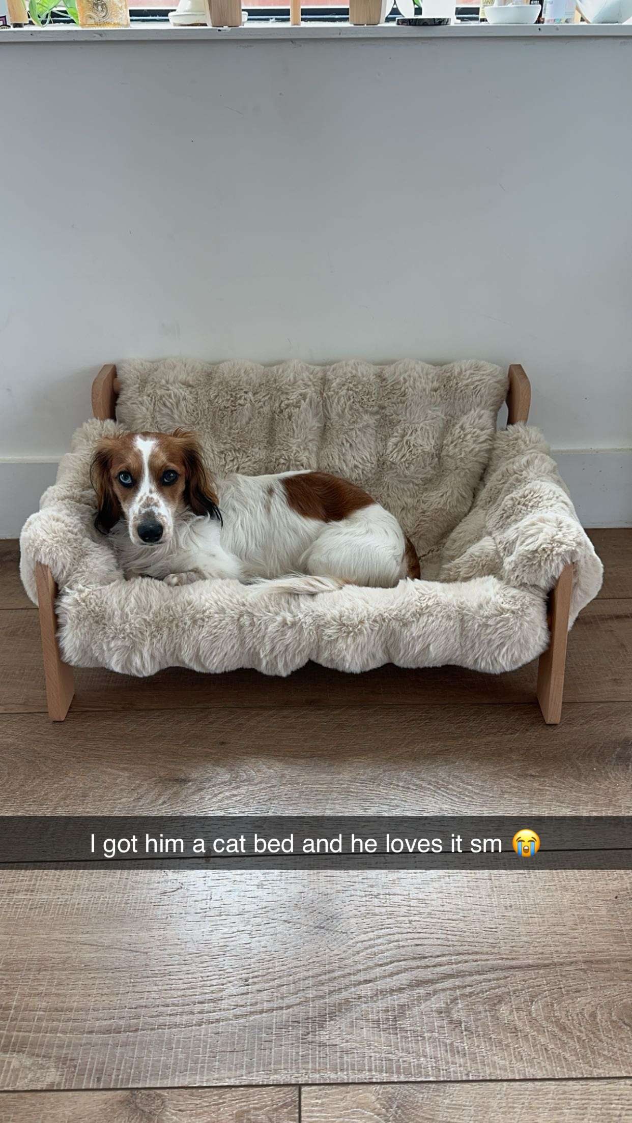 laurenj.fit snapchat image archive image