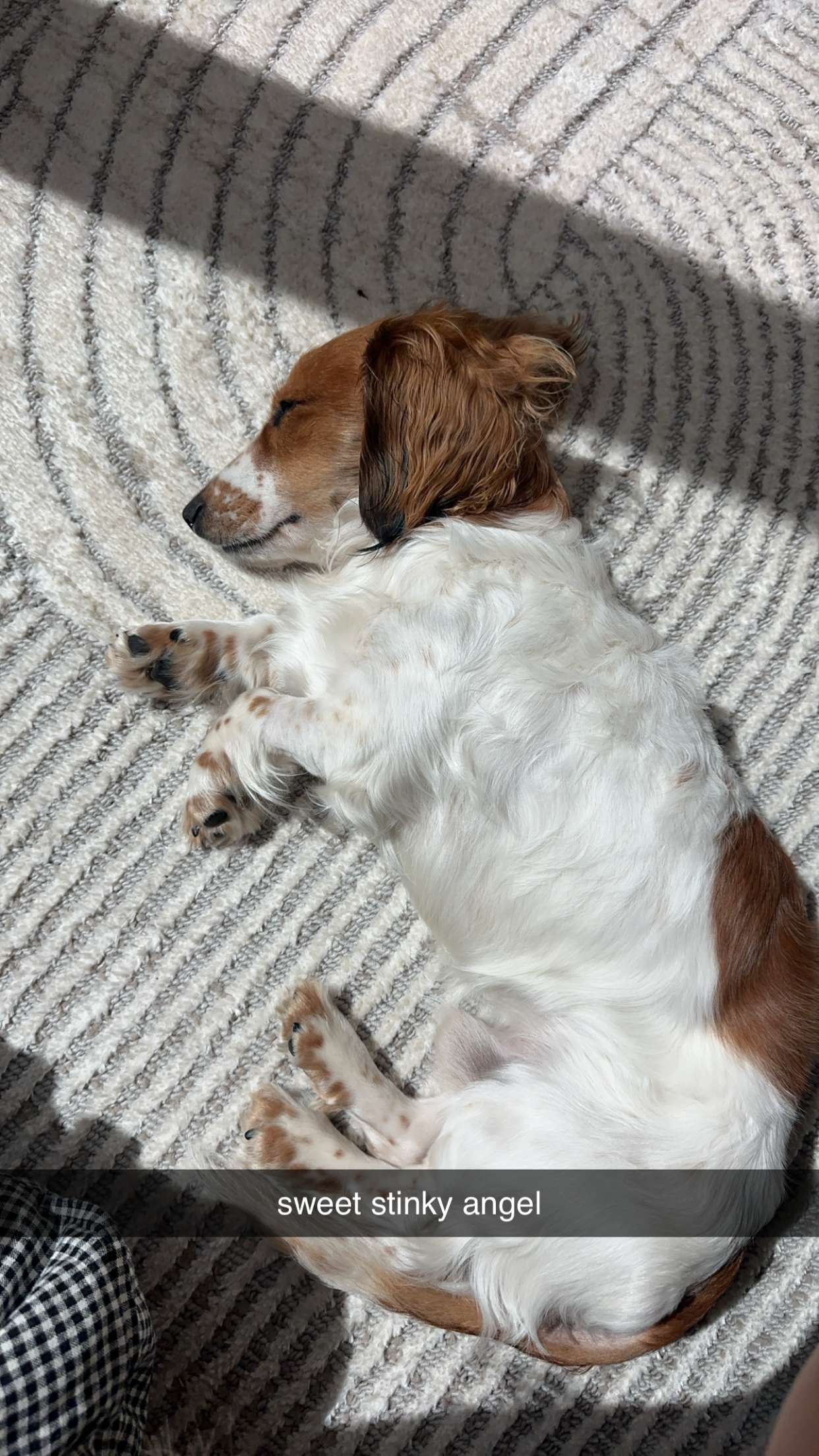 laurenj.fit snapchat image archive image