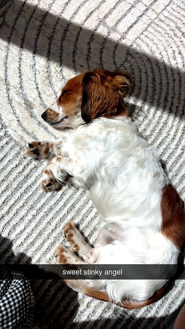 laurenj.fit image ~ Altpins