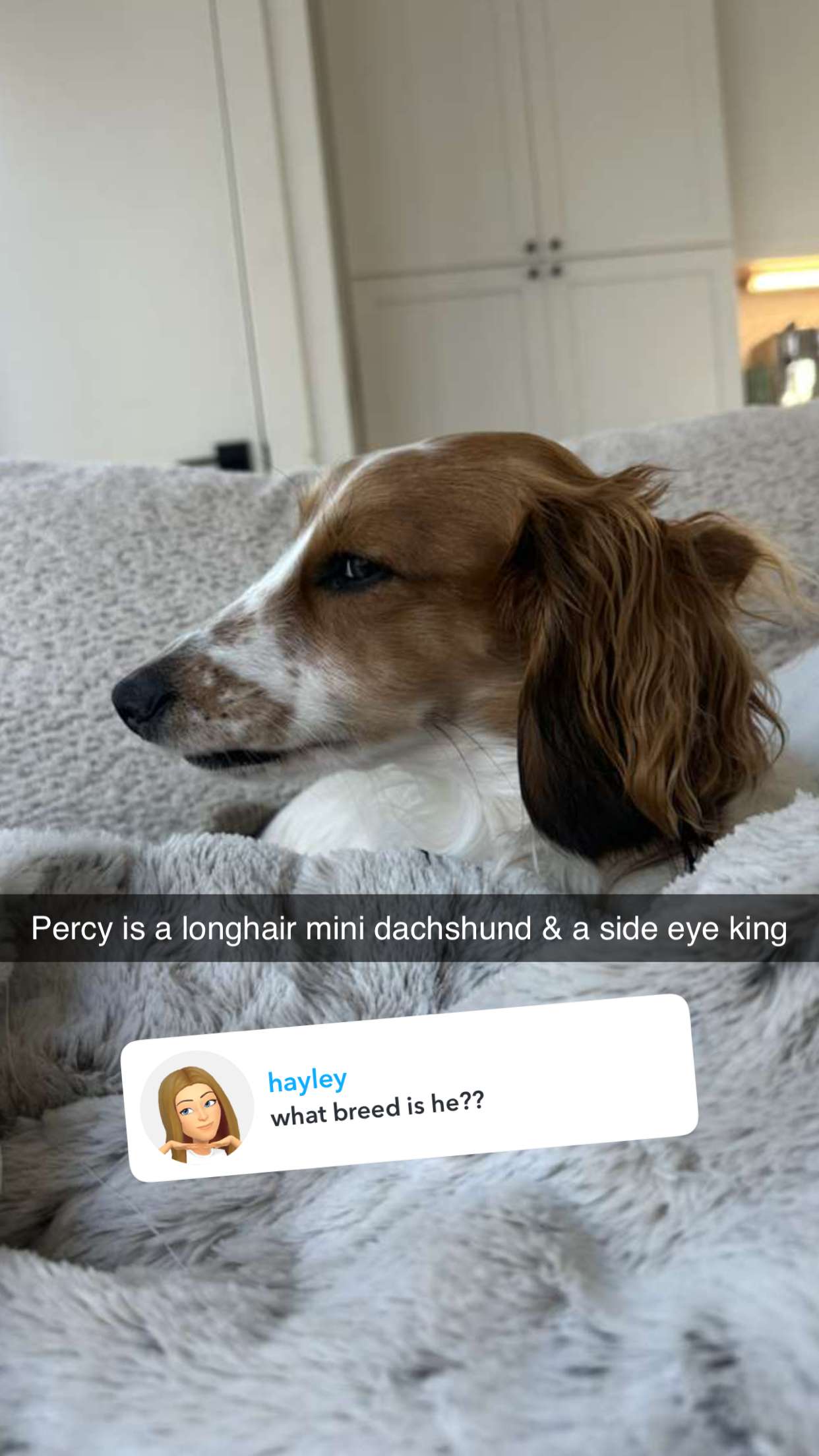 laurenj.fit snapchat image archive image