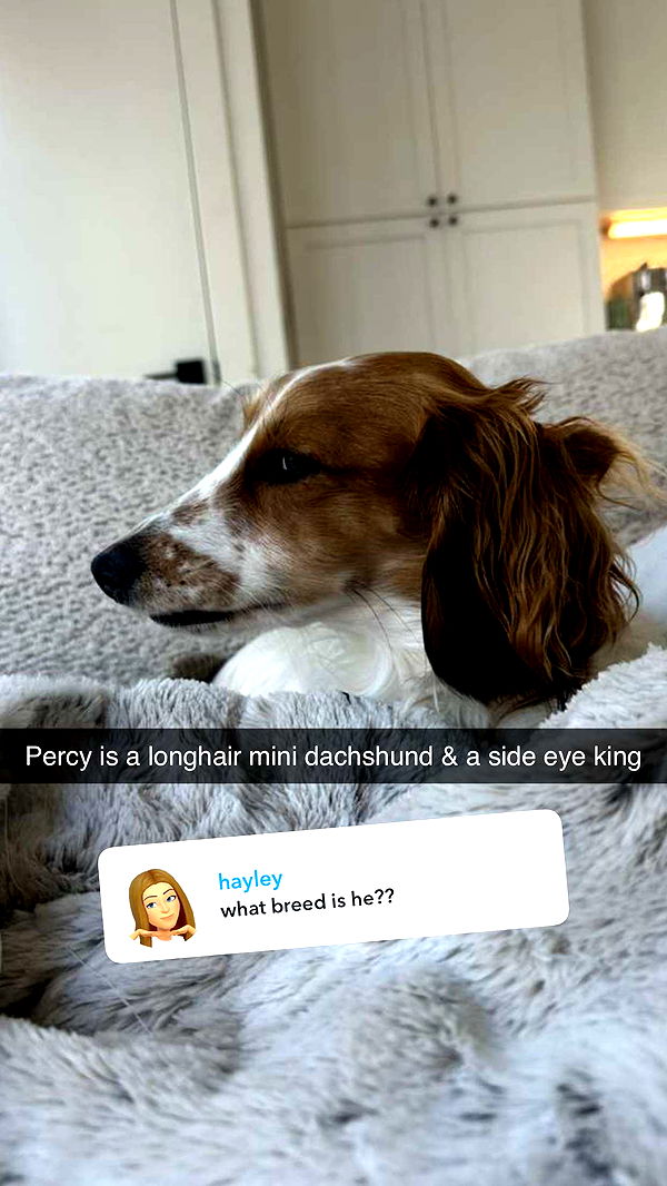 laurenj.fit image ~ Altpins