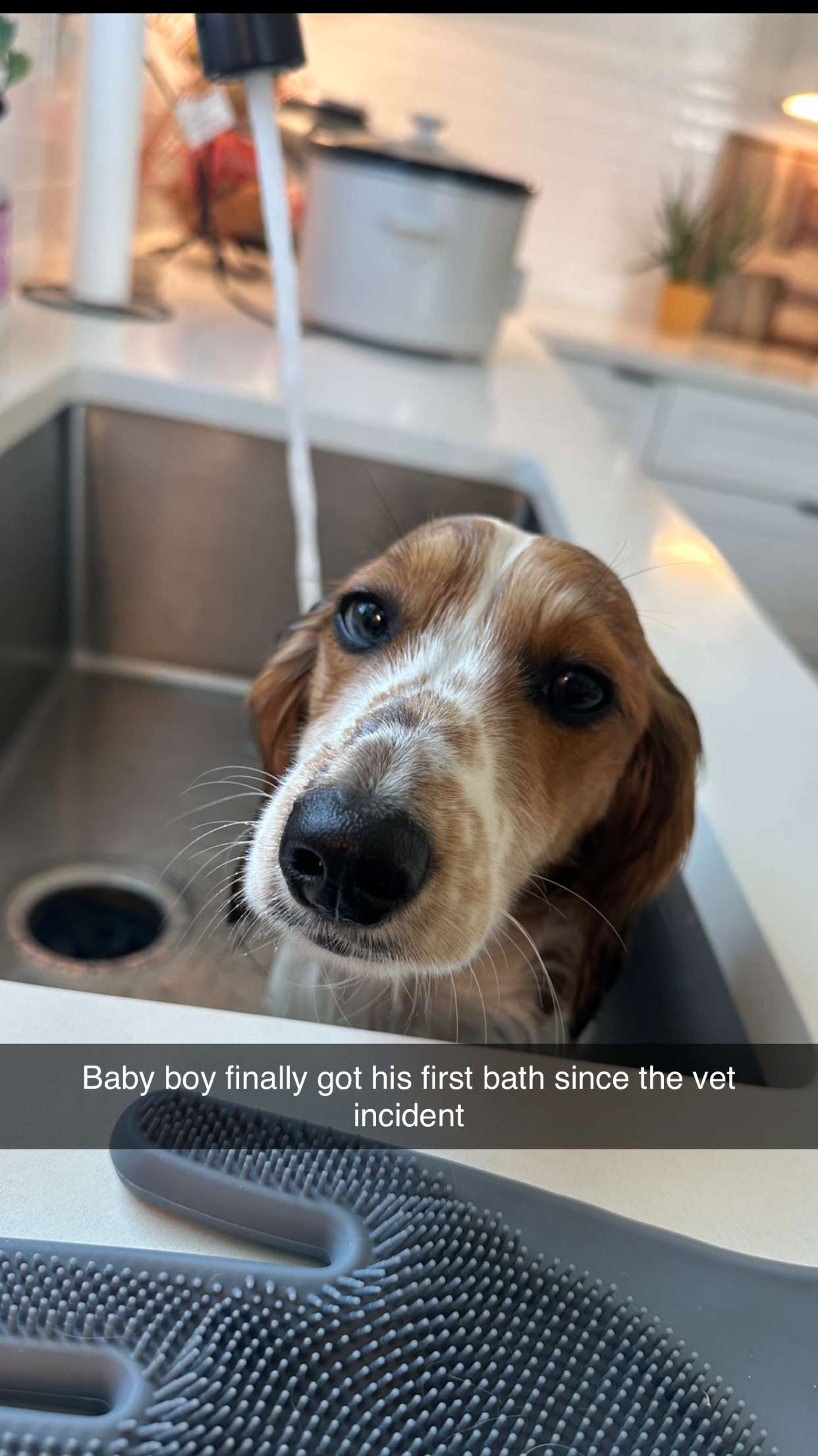 laurenj.fit snapchat image archive image