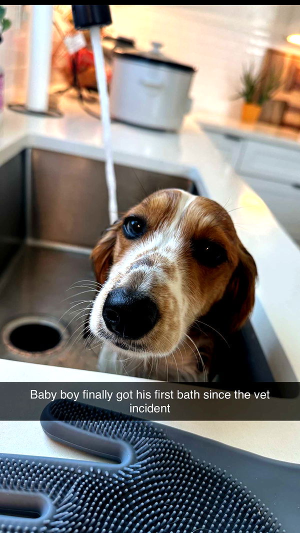 laurenj.fit image ~ Altpins