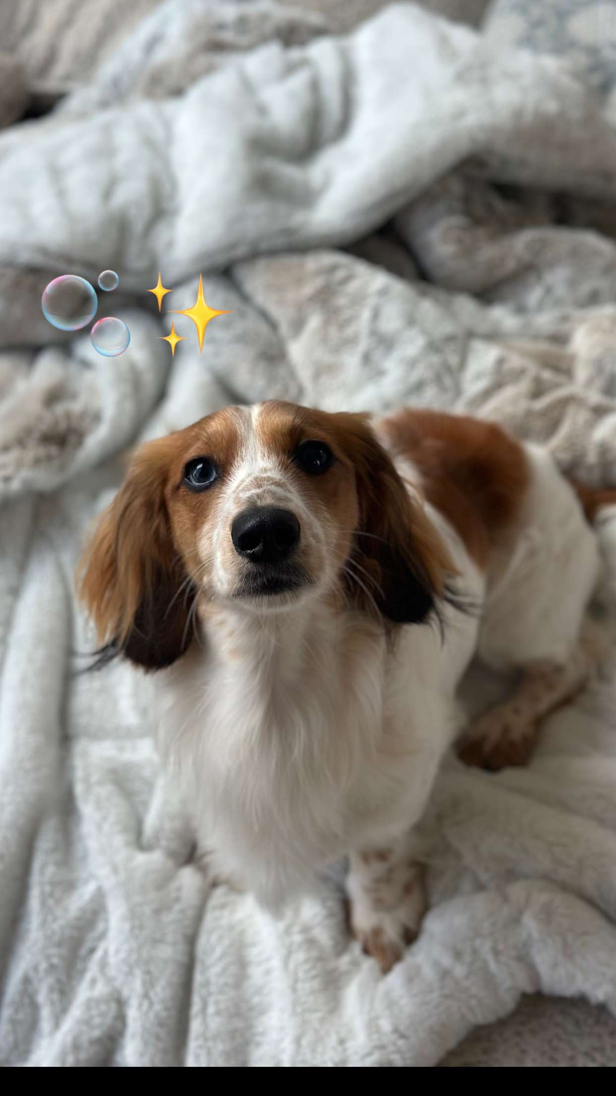 laurenj.fit snapchat image archive image