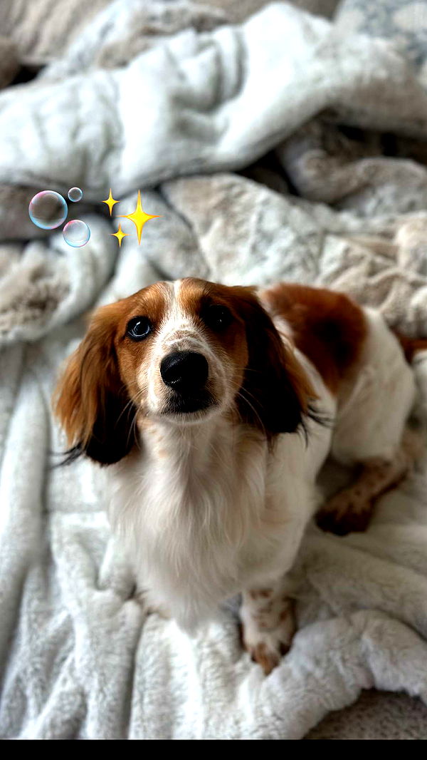 laurenj.fit image ~ Altpins