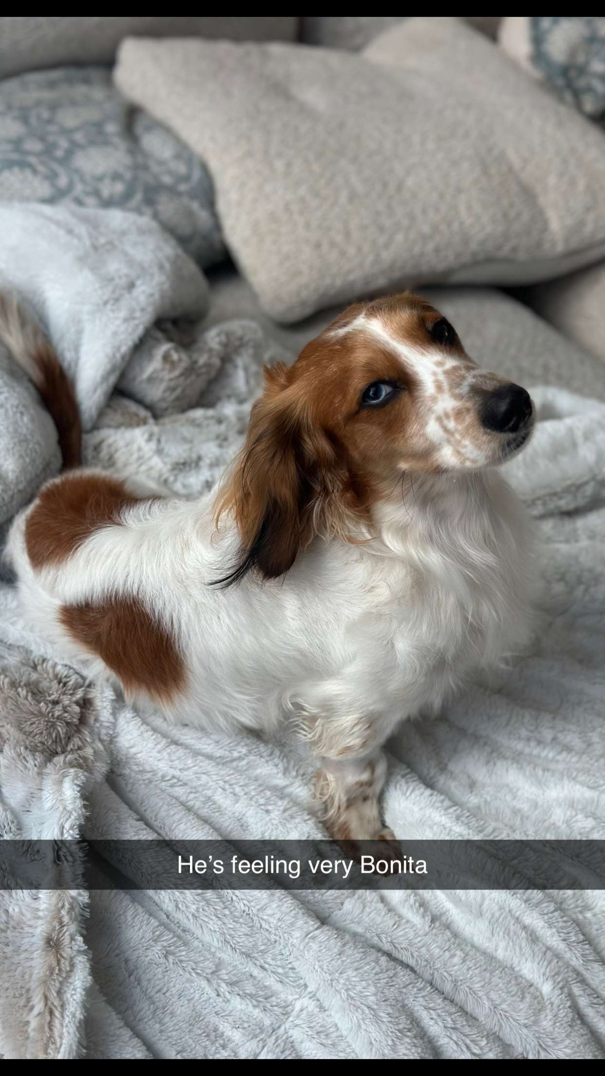 laurenj.fit snapchat image archive image