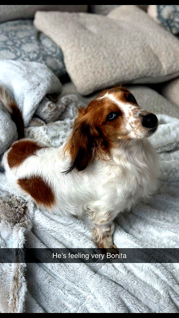 laurenj.fit image ~ Altpins