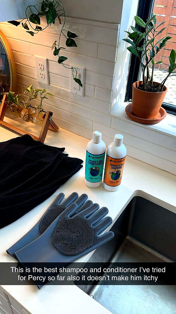 laurenj.fit image ~ Altpins