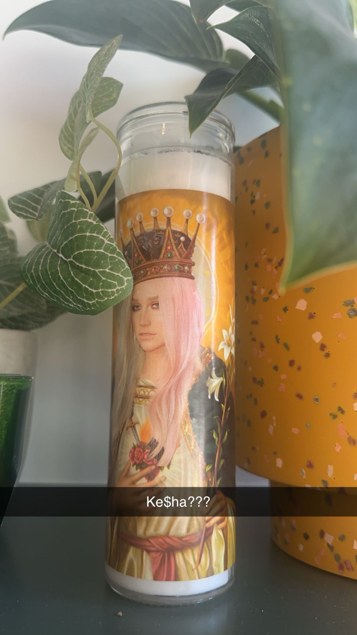 laurenj.fit snapchat image archive image