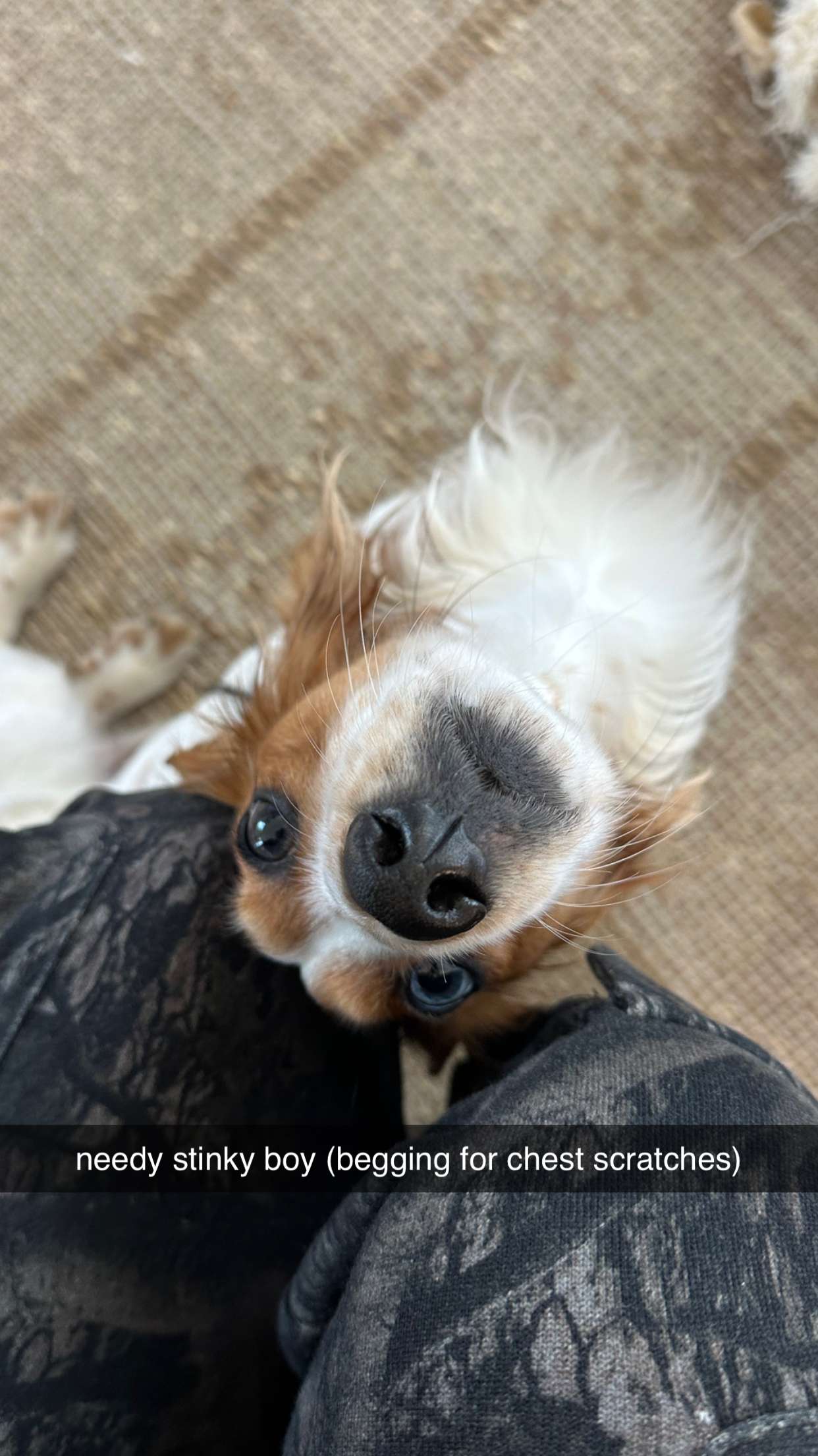 laurenj.fit snapchat image archive image