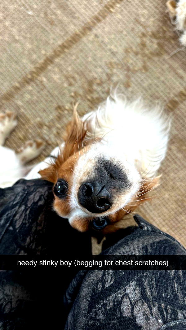 laurenj.fit image ~ Altpins