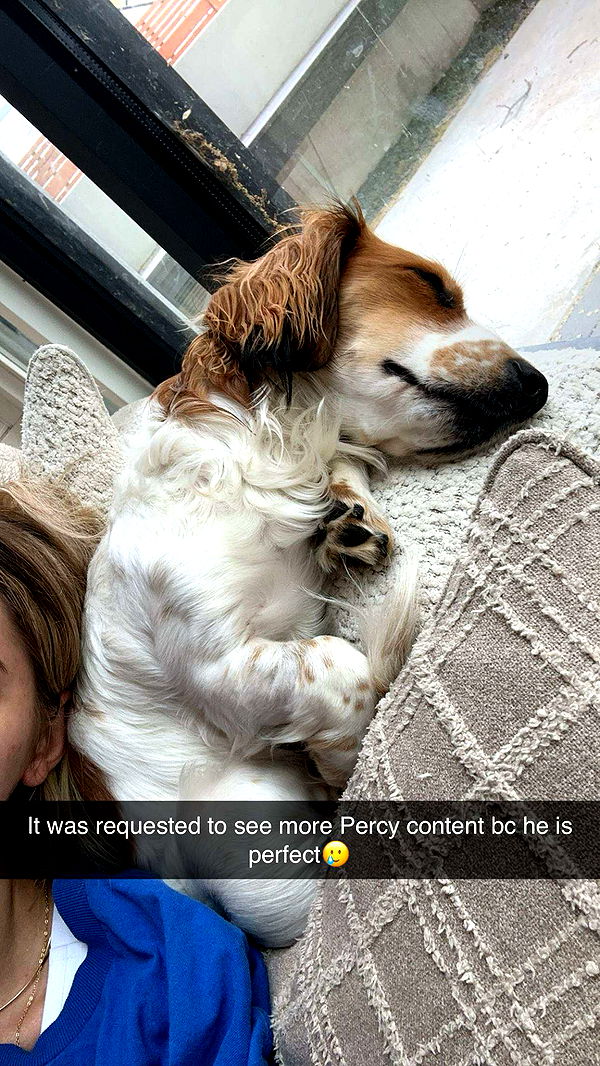 laurenj.fit image ~ Altpins