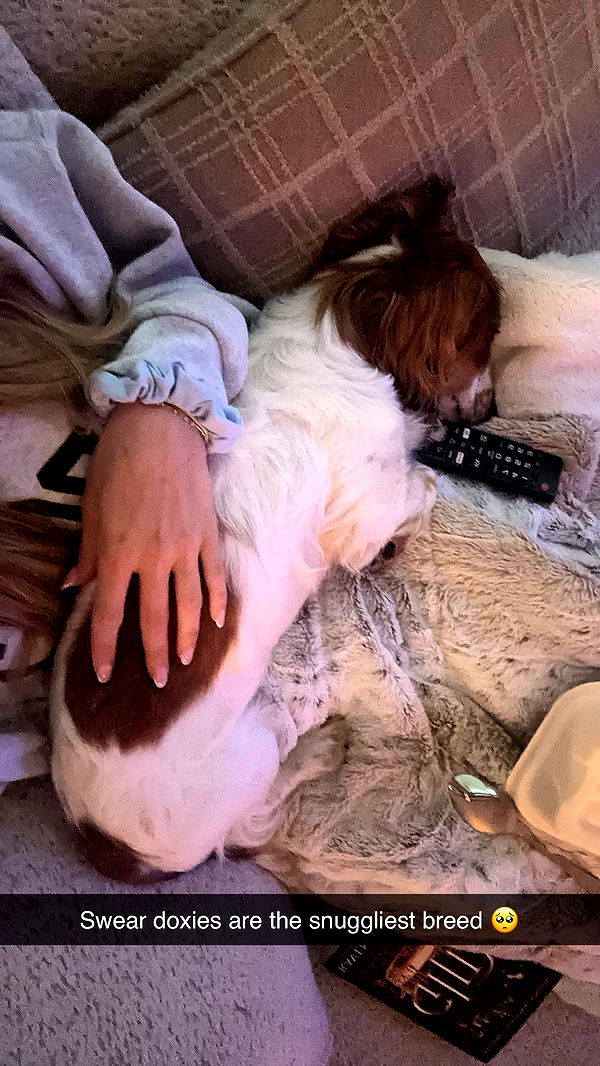 laurenj.fit image ~ Altpins