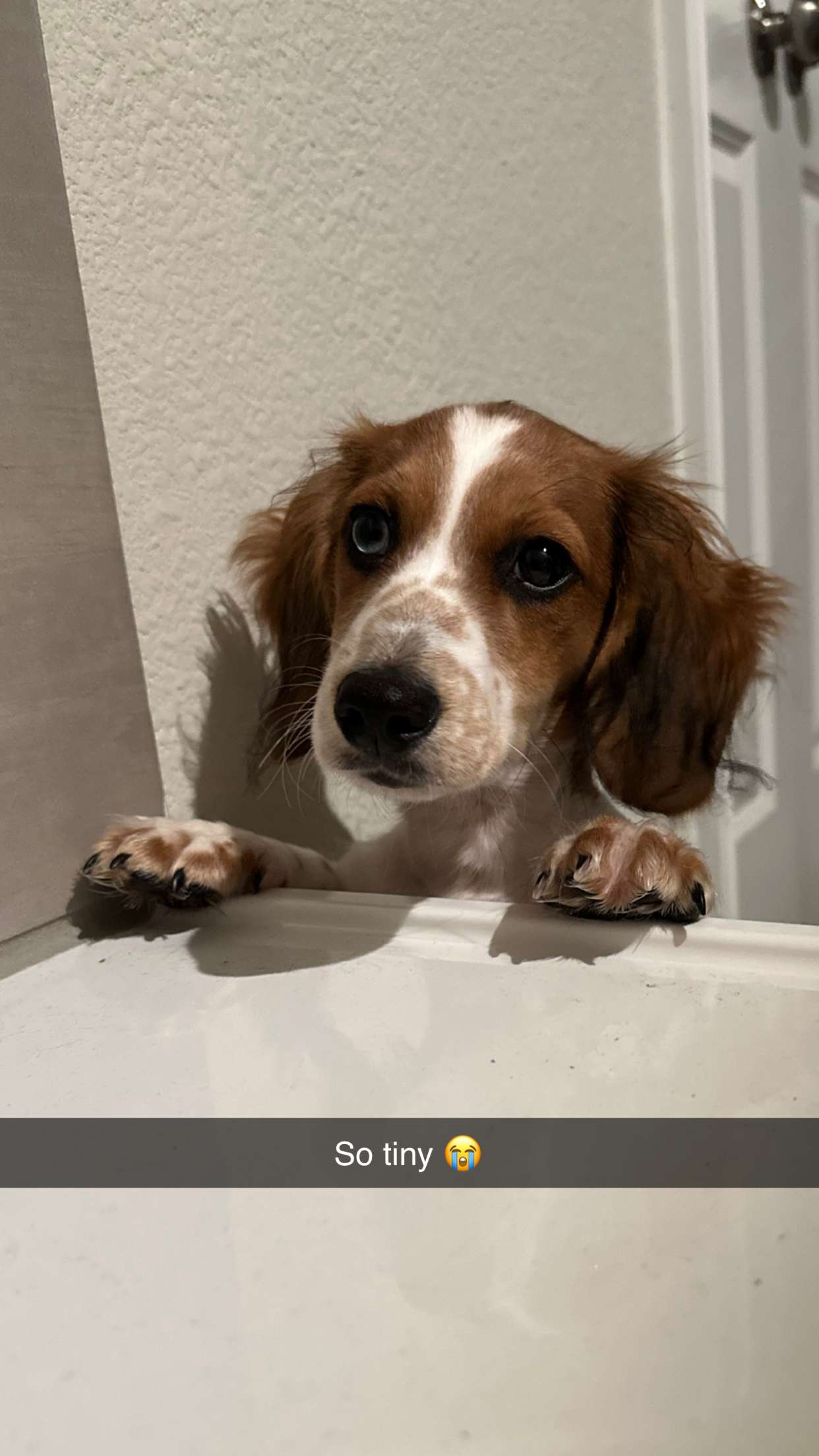 laurenj.fit snapchat image archive image