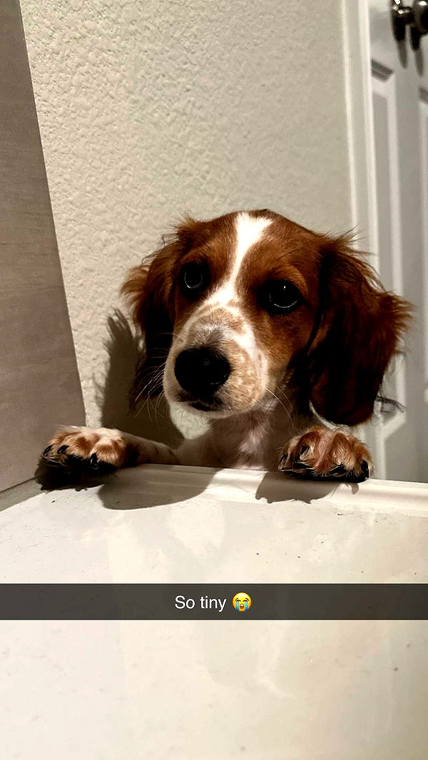 laurenj.fit image ~ Altpins