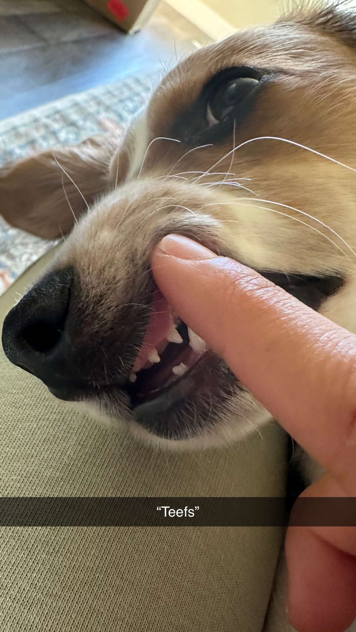 laurenj.fit snapchat image archive image