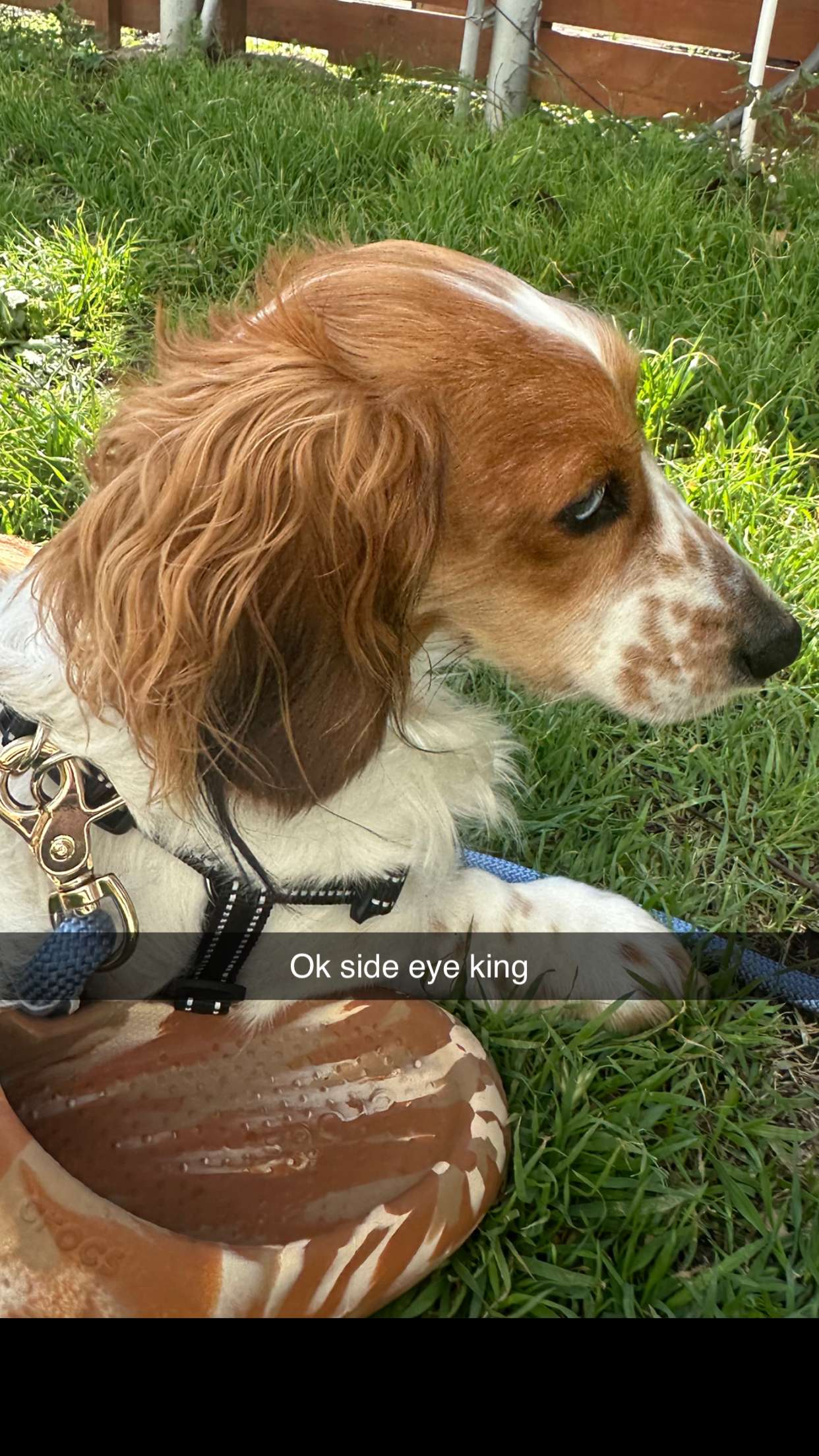 laurenj.fit snapchat image archive image