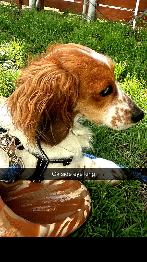 laurenj.fit image ~ Altpins