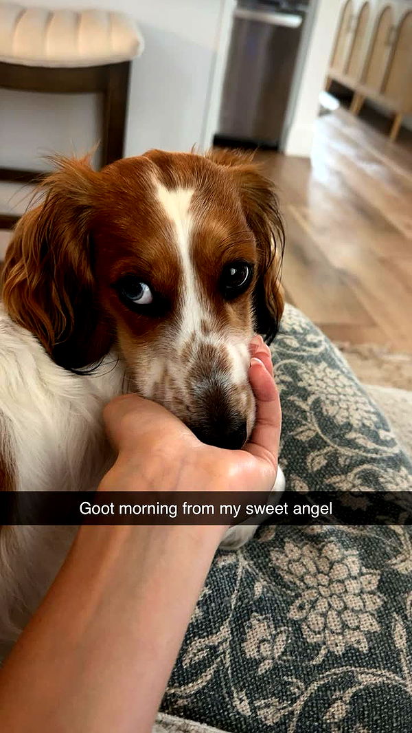 laurenj.fit image ~ Altpins