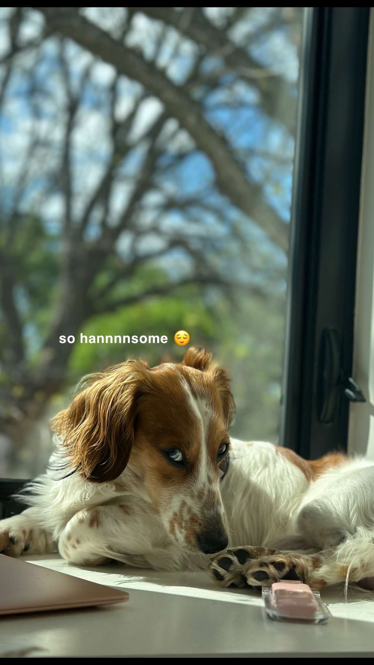 laurenj.fit snapchat image archive image