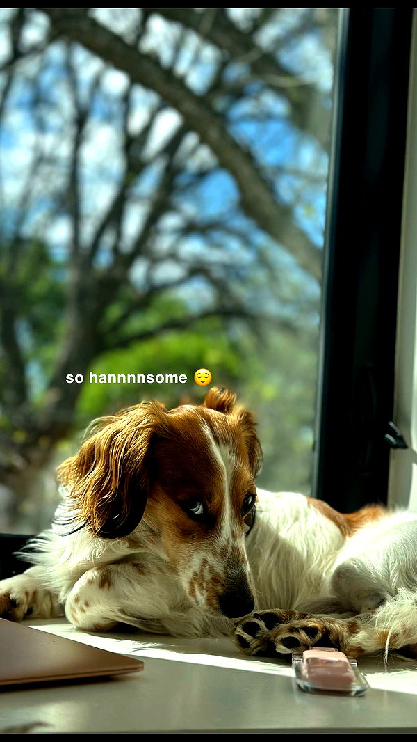 laurenj.fit image ~ Altpins