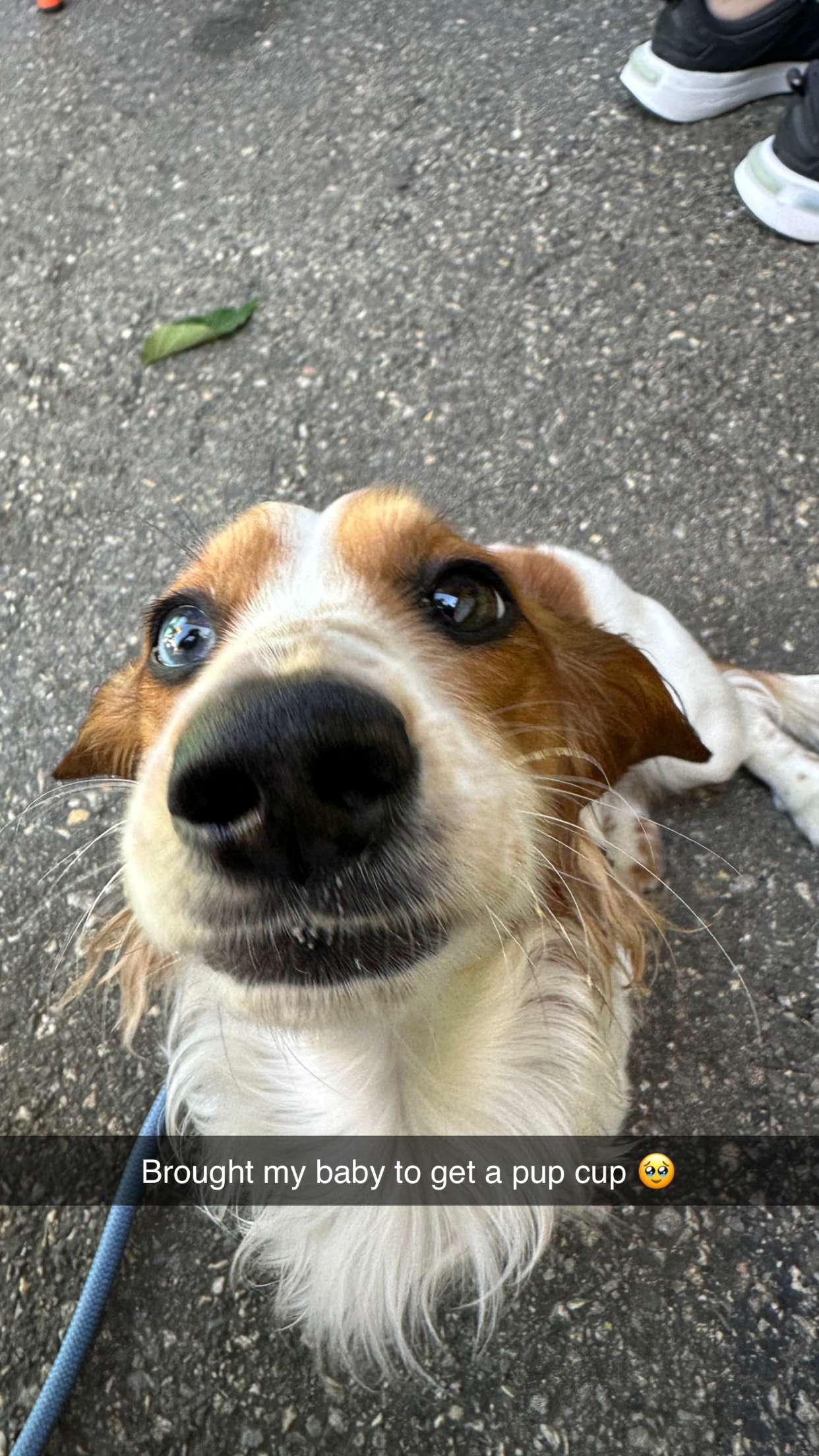 laurenj.fit snapchat image archive image