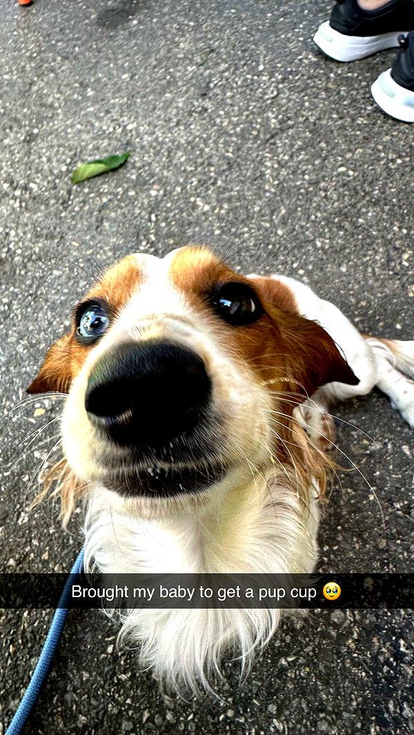 laurenj.fit image ~ Altpins