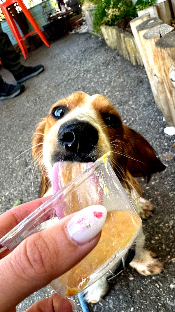 laurenj.fit image ~ Altpins