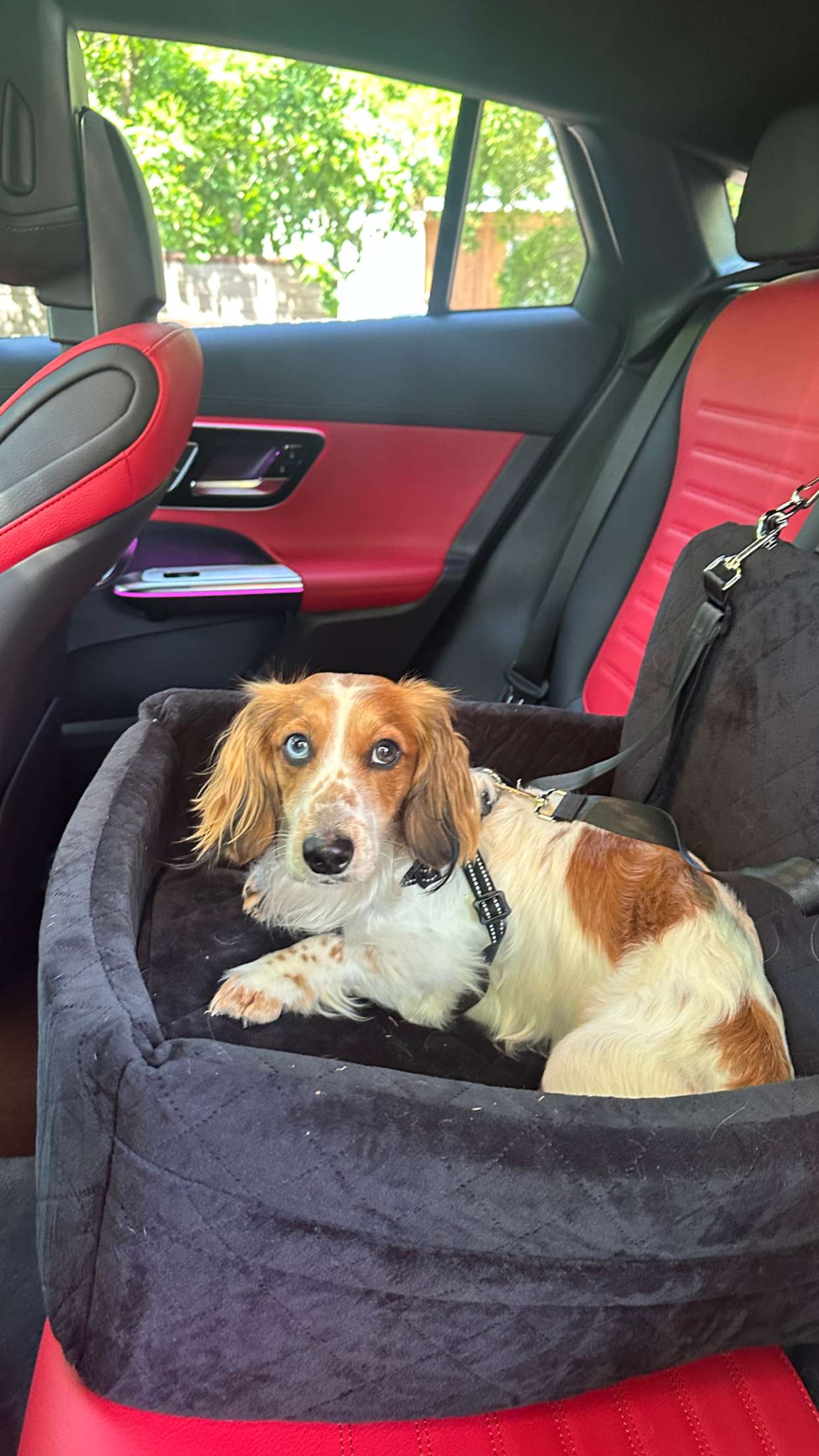 laurenj.fit snapchat image archive image