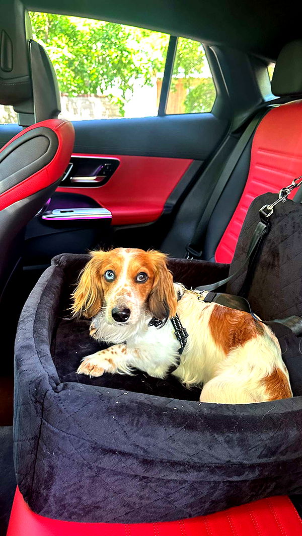 laurenj.fit image ~ Altpins