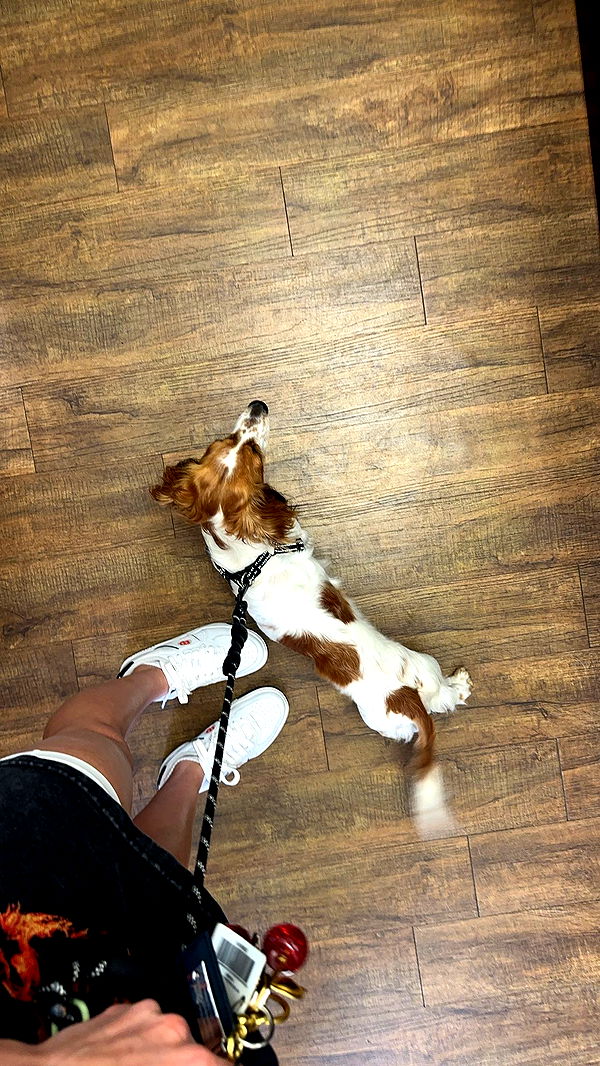 laurenj.fit image ~ Altpins