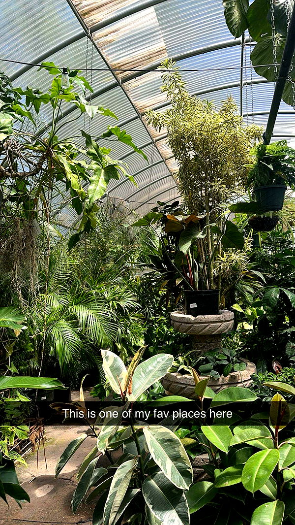 laurenj.fit image ~ Altpins