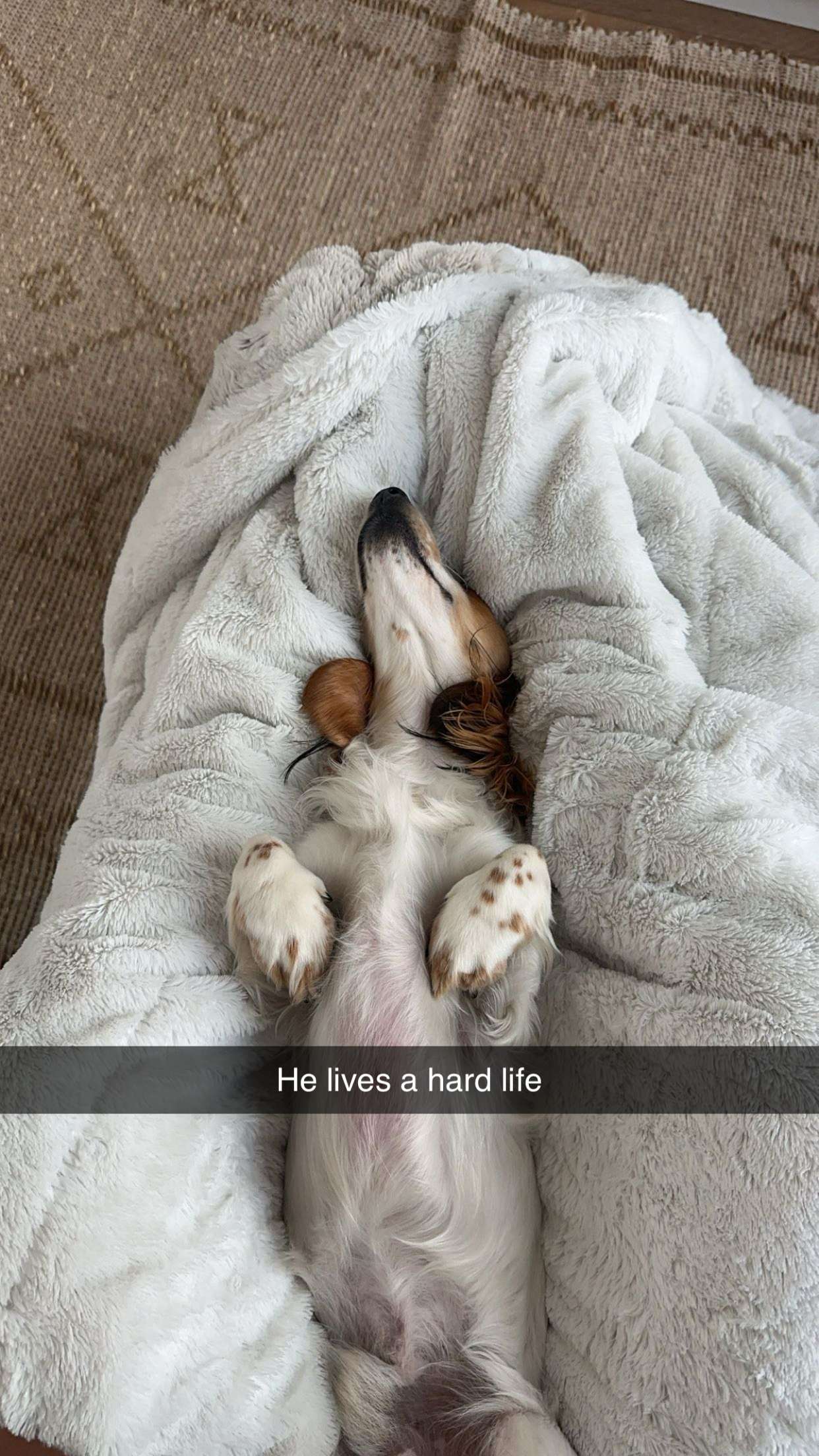 laurenj.fit snapchat image archive image