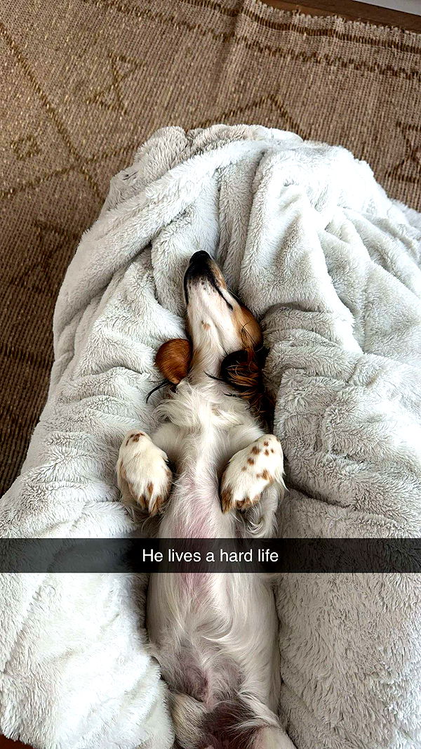 laurenj.fit image ~ Altpins