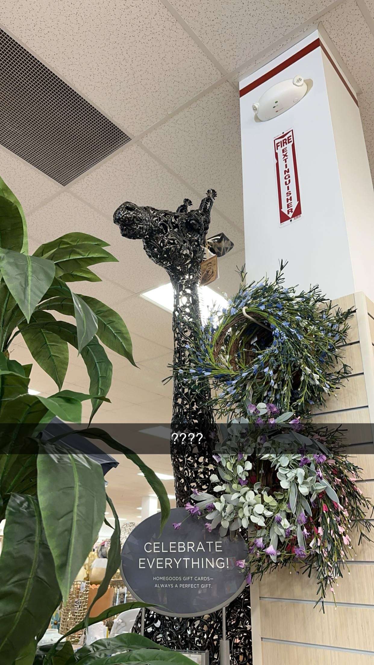 laurenj.fit snapchat image archive image